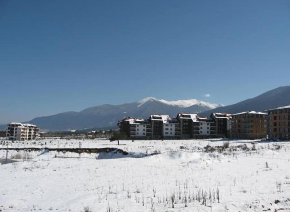 Aspen Heights 4 Bed Apartment